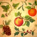 043 Lemons,  Oranges - 3-ply